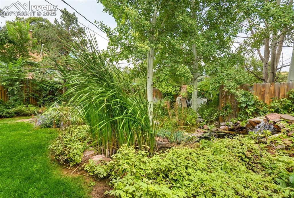 Image 32 of 49: Oasis backyard with aspen and apple trees