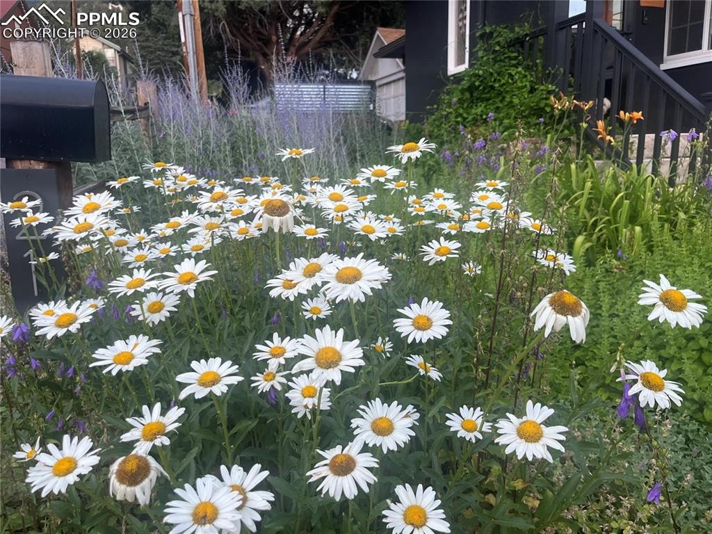 Image 38 of 49: Flowers everywhere!