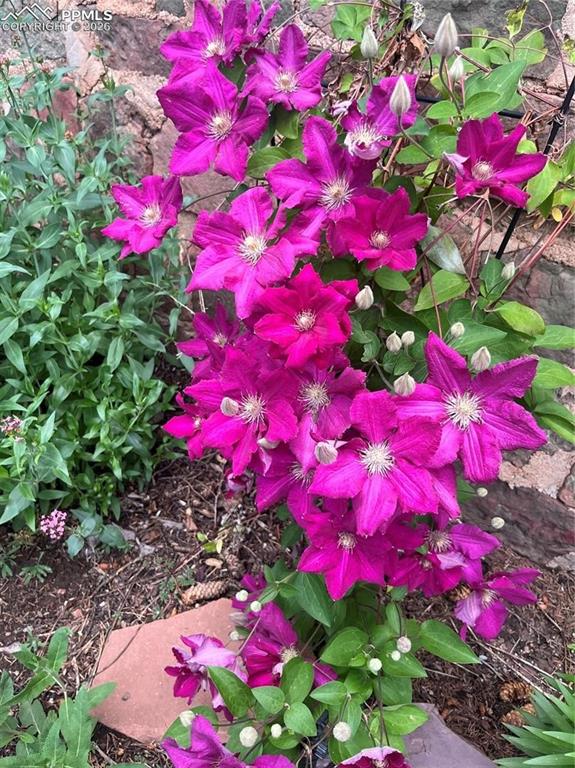 Image 40 of 49: Flowers everywhere!