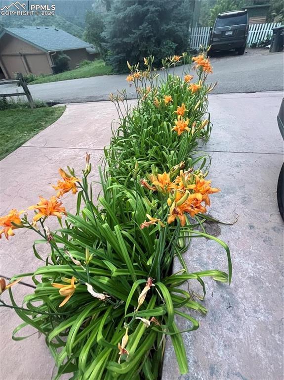 Image 41 of 49: Flowers everywhere!