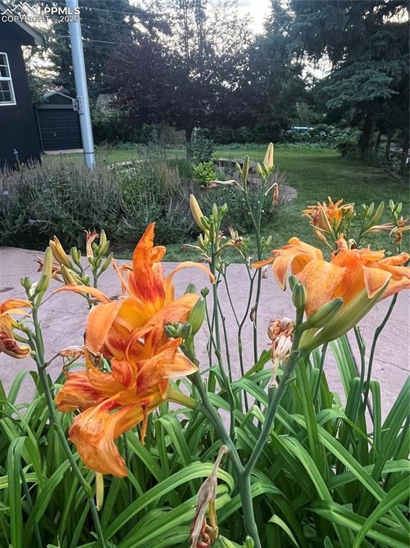 Image 42 of 49: Flowers everywhere!