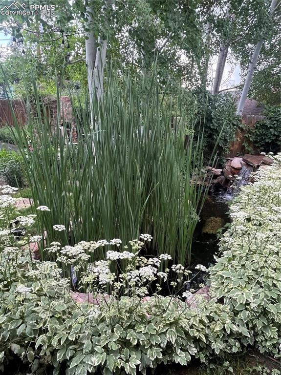 Image 44 of 49: Flowers everywhere!