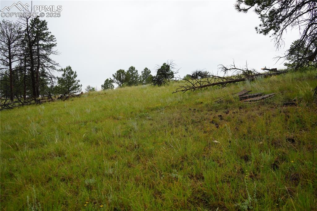 Image 12 of 19: Other