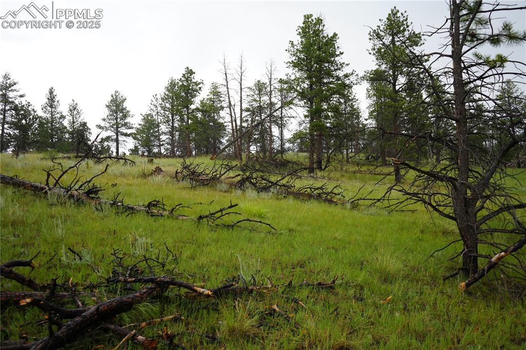 Image 13 of 19: Other