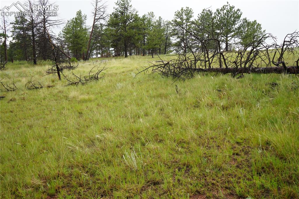 Image 15 of 19: Other