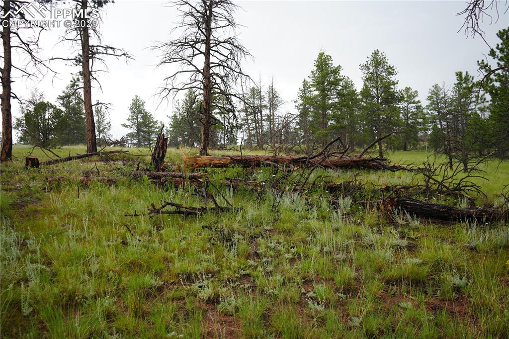 Image 17 of 19: Other