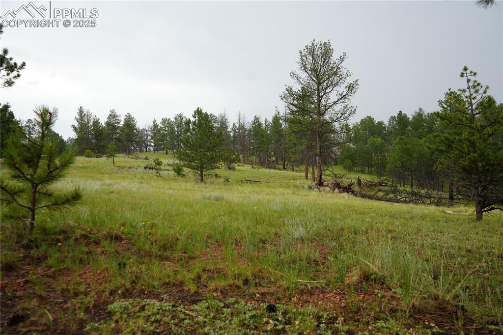 Image 18 of 19: Other