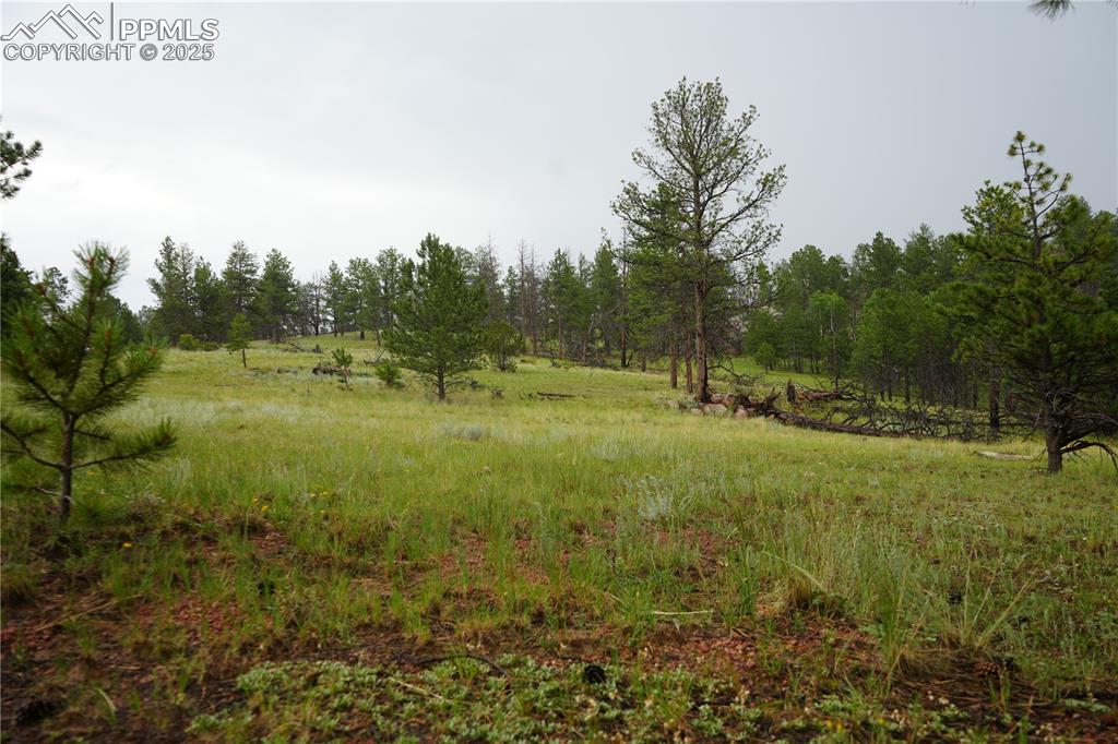 Image 19 of 19: Other