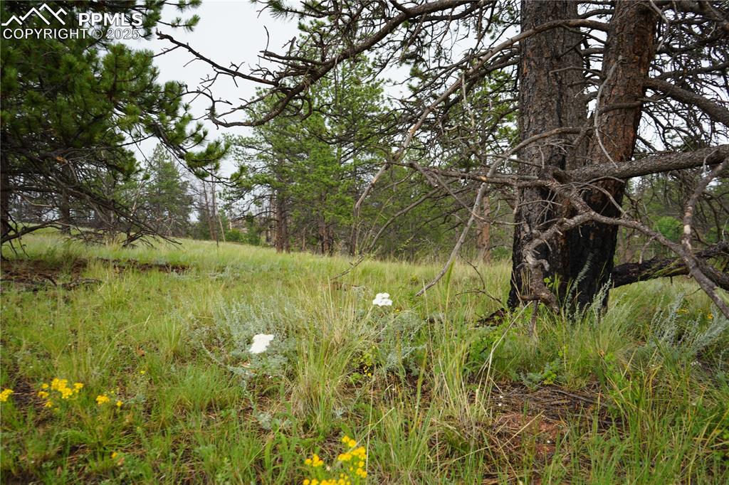 Image 3 of 19: Other