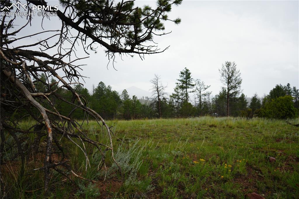 Image 4 of 19: Other