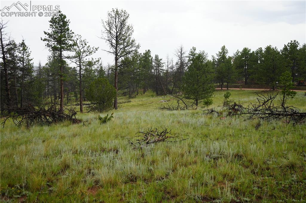 Image 6 of 19: Other