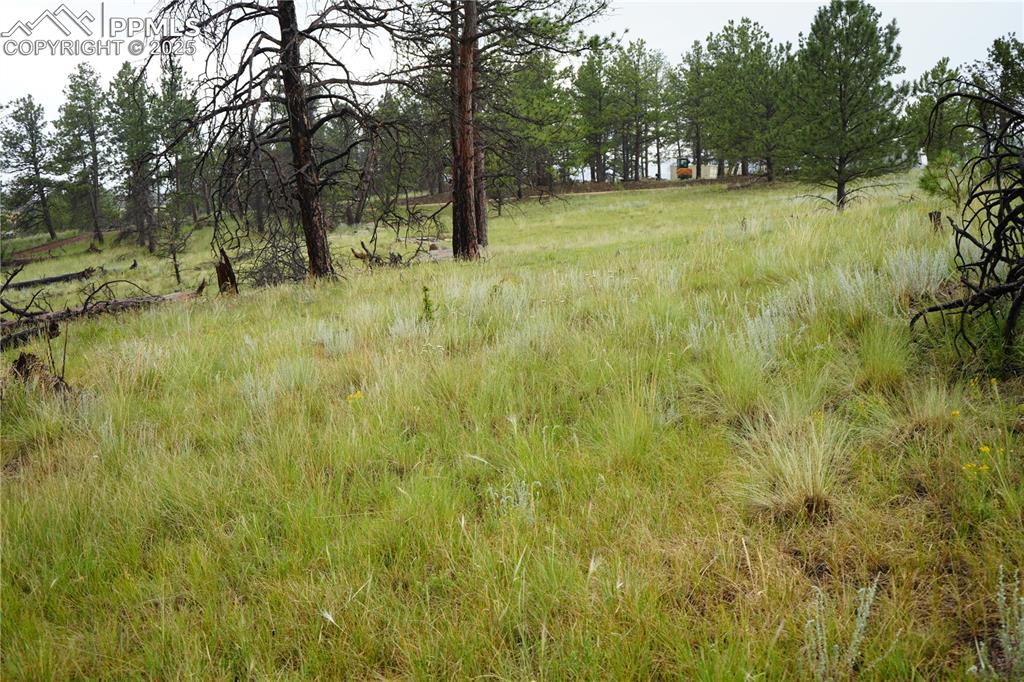 Image 8 of 19: Other