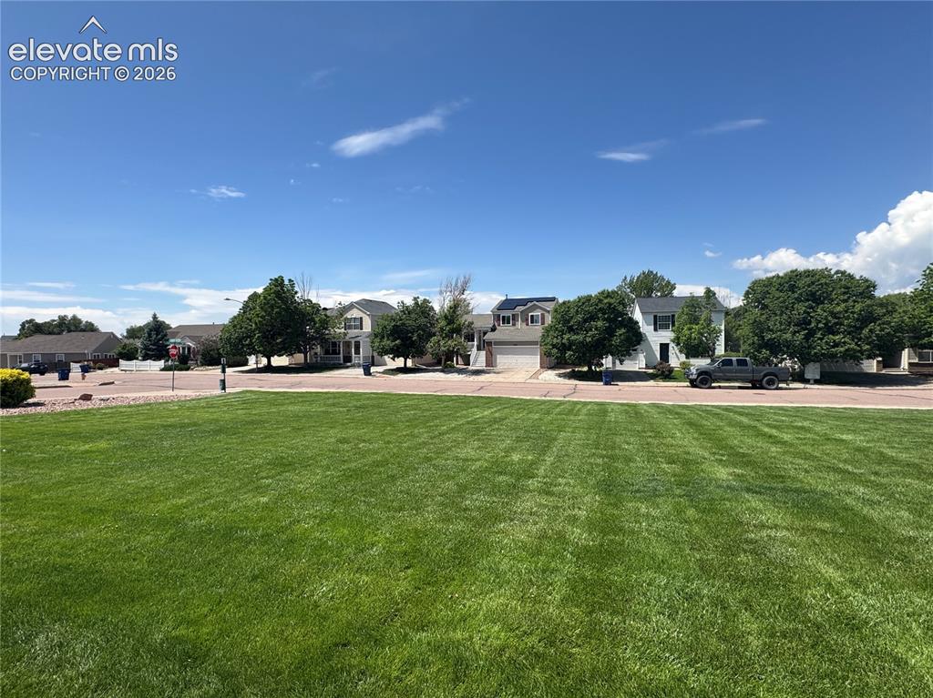 Image 11 of 40: Yard