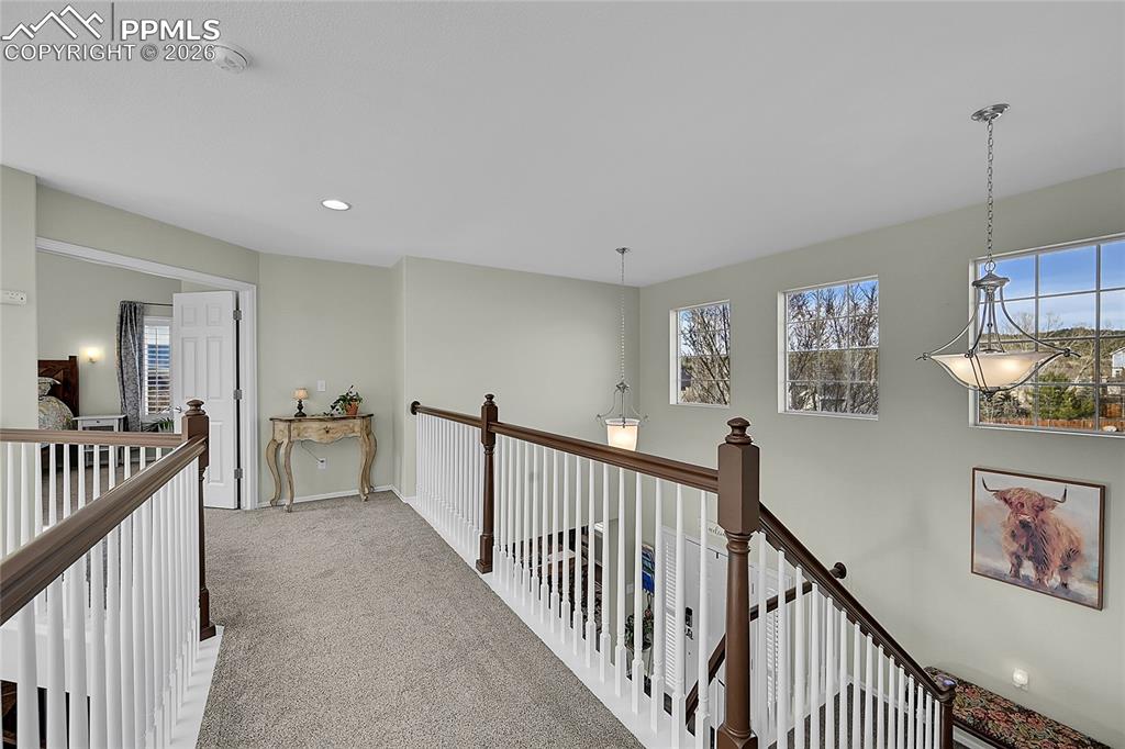 Image 15 of 44: Other