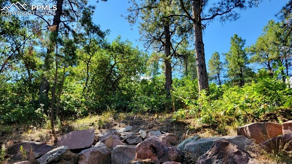 Image 31 of 50: Other