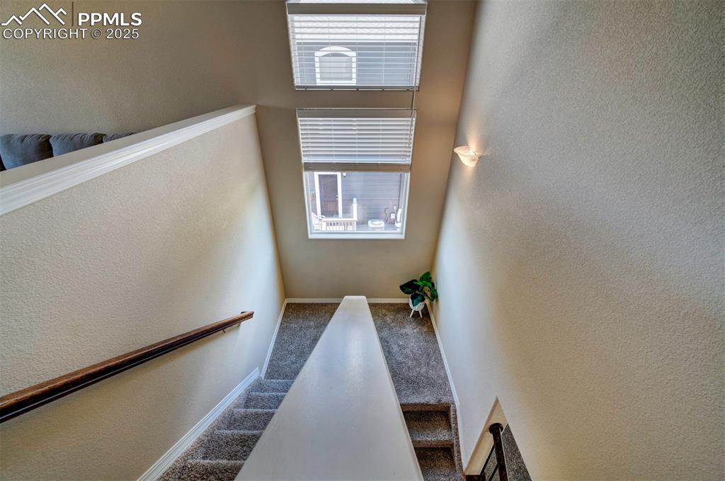 Image 17 of 46: Stairway with carpet flooring and a textured wall