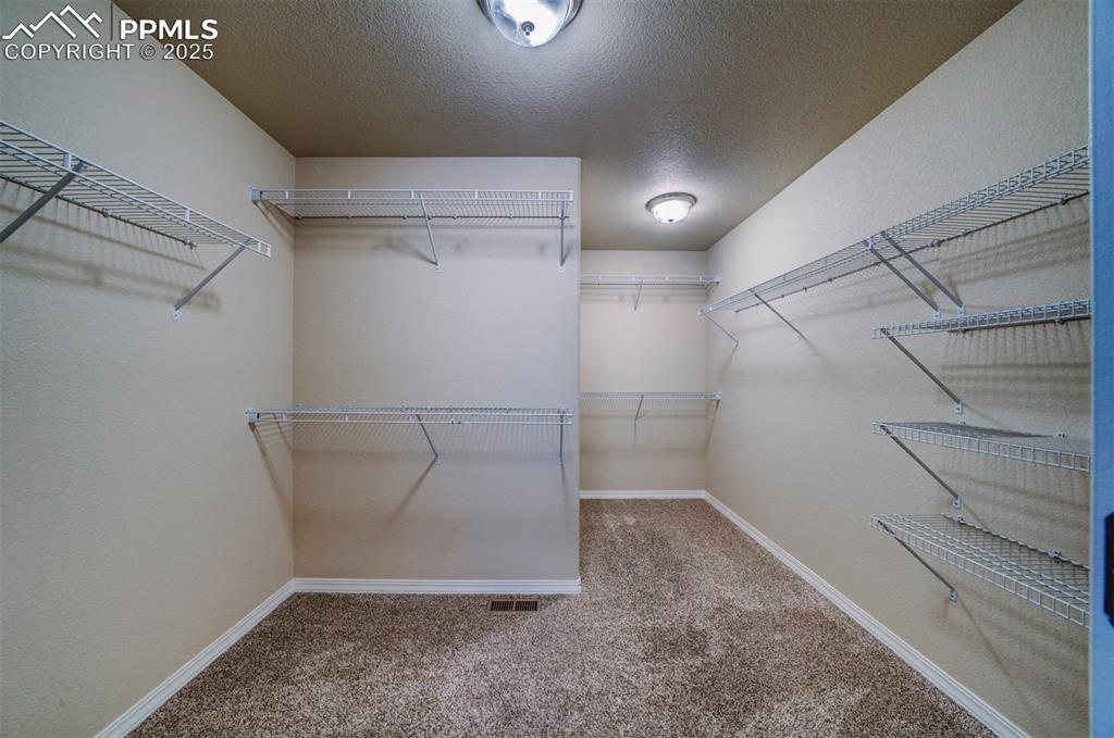 Image 28 of 46: Walk in closet featuring carpet floors