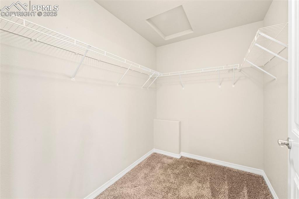 Image 24 of 39: Closet space that whispers: ‘buy the shoes.