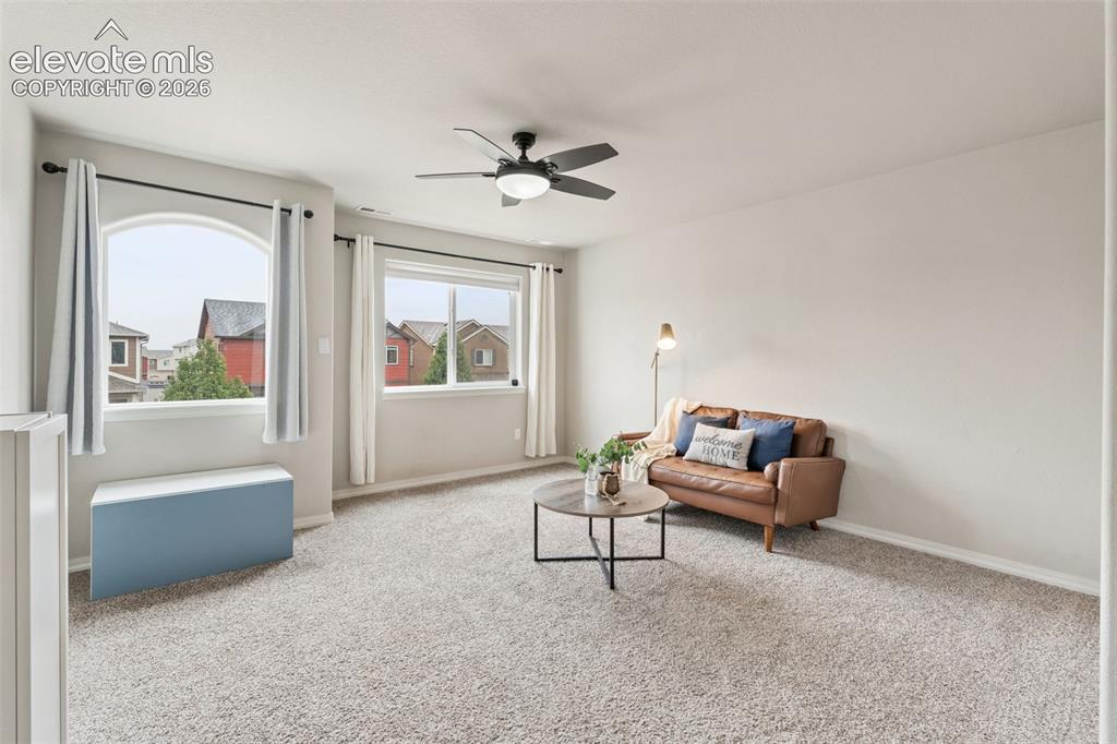 Image 21 of 42: Plush carpet flooring, multiple windows providing natural light, arched win