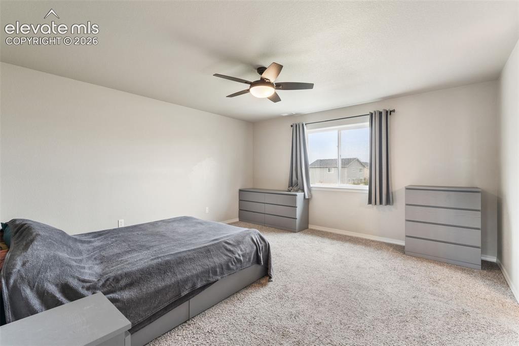Image 23 of 42: Plush carpeting, a ceiling fan with integrated lighting, and a window with 