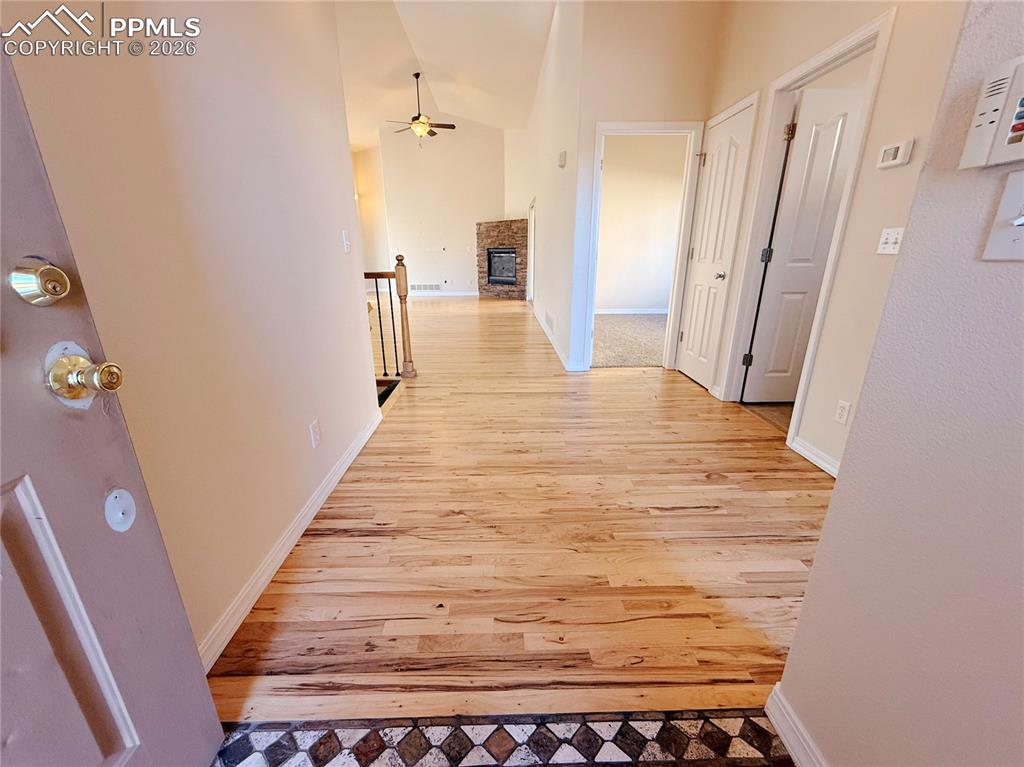 Image 5 of 50: Other