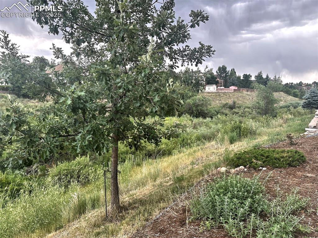 Image 17 of 19: View