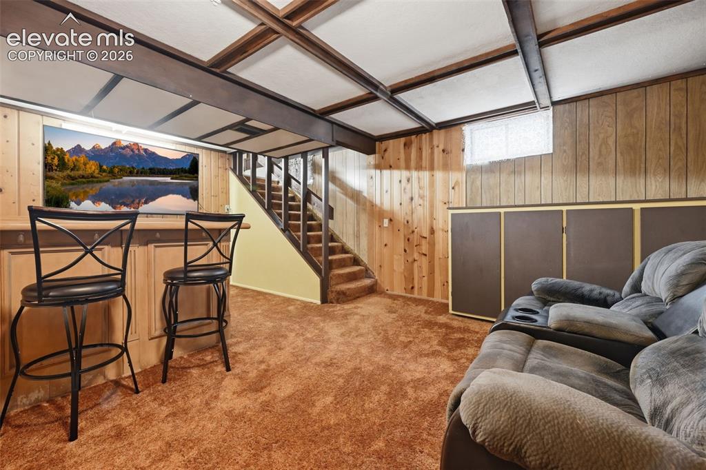 Image 21 of 30: Basement Family Room with Bar and Built-ins