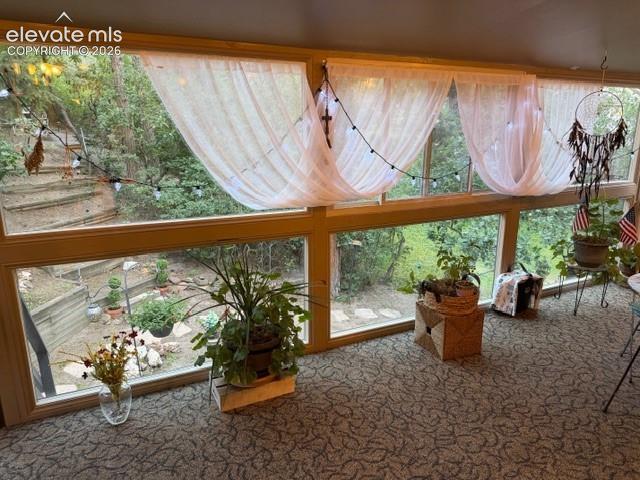 Image 18 of 46: Sun Room