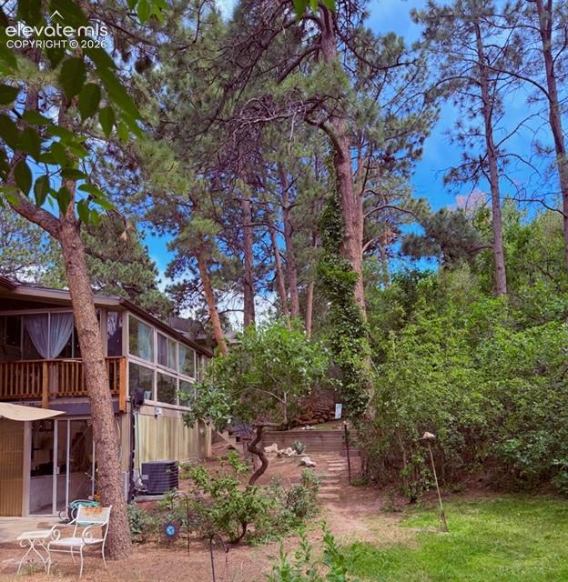 Image 37 of 46: Wooded lot featuring mature trees and established natural landscaping
