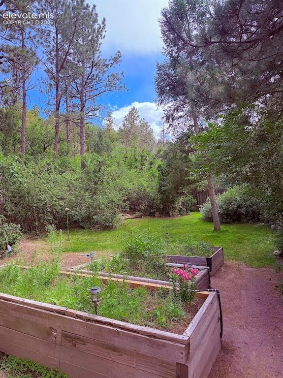 Image 40 of 46: Expansive backyard featuring multiple raised garden beds and a gravel pathw