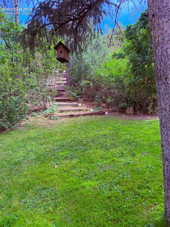 Image 42 of 46: Expansive lawn with mature trees and stepping stone pathway