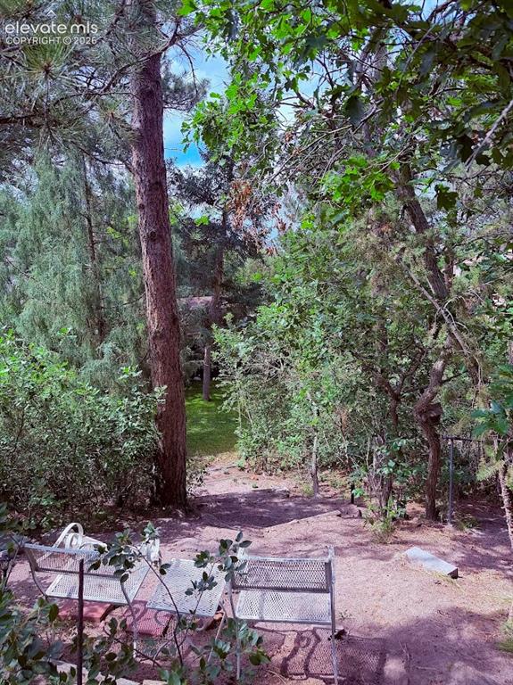 Image 44 of 46: Lush outdoor space featuring mature trees and established plantings