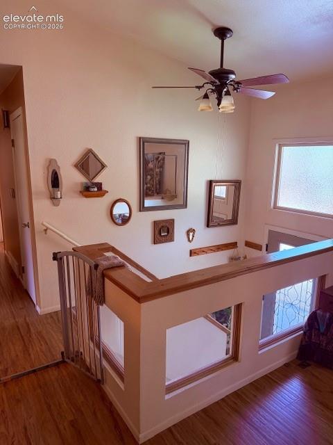 Image 6 of 46: Decorative glass inserts un the upper-level partition wall add architectura