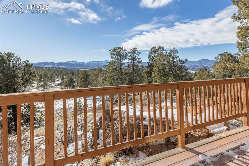 Image 3 of 33: Wooden deck featuring large mature trees a Black Mountain (center) Badger M