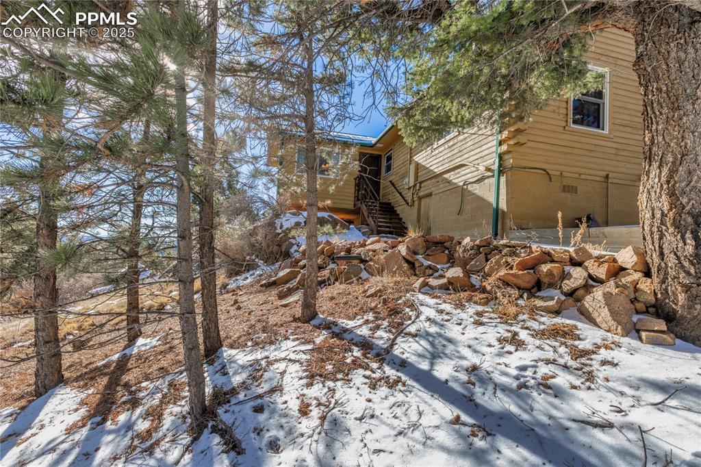 Image 31 of 33: The back door and the heavily treed yard