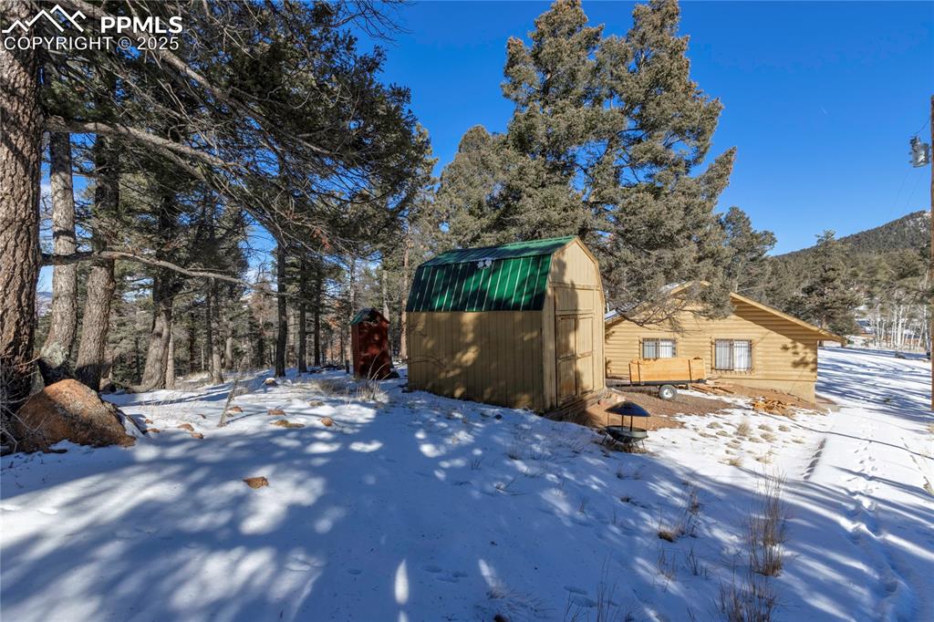 Image 33 of 33: View of the mature trees surrounding the property, the shed and the home.