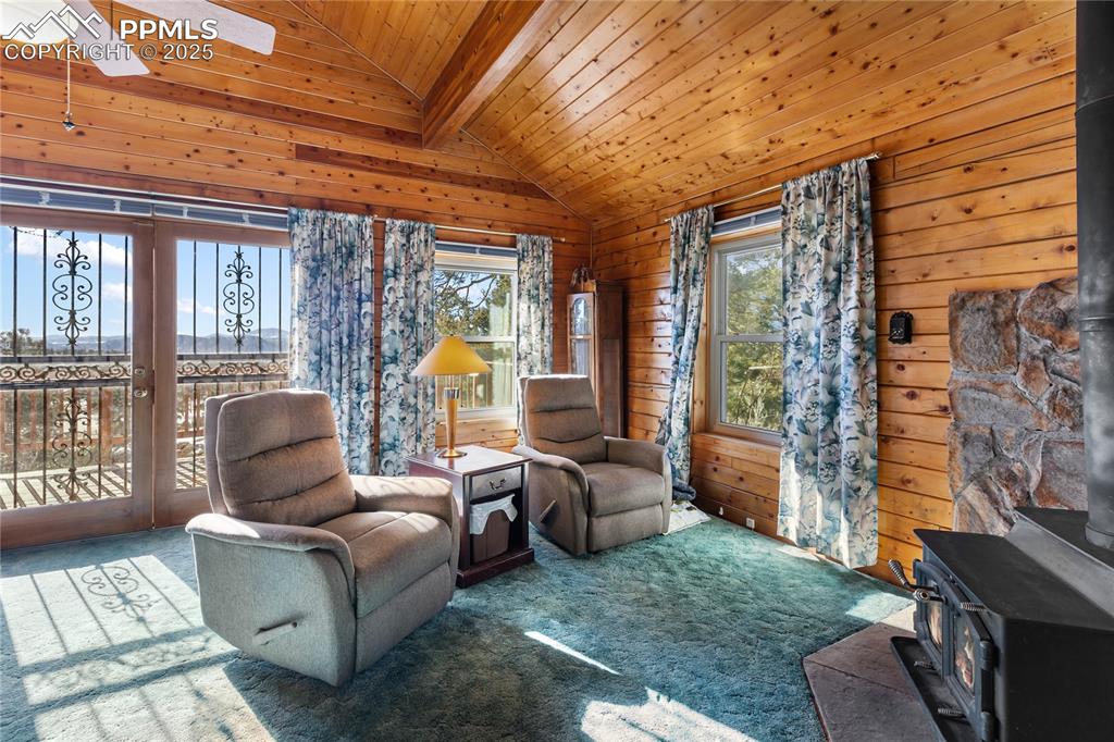 Image 9 of 33: Living room with a wood stove, wood walls, and carpet