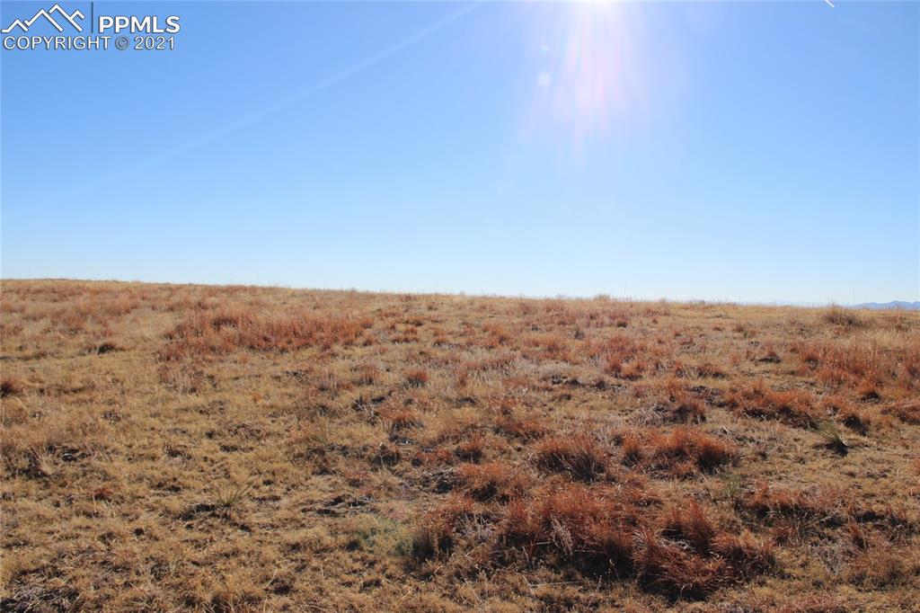 Image 3 of 17: No Description Available