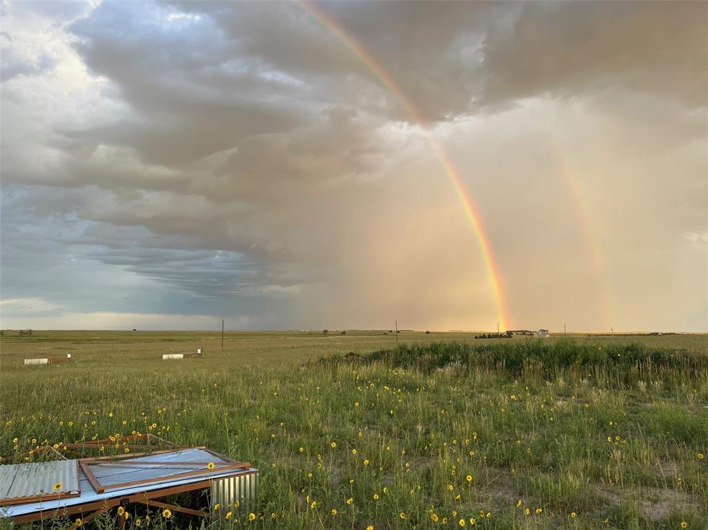 Image 45 of 48: View