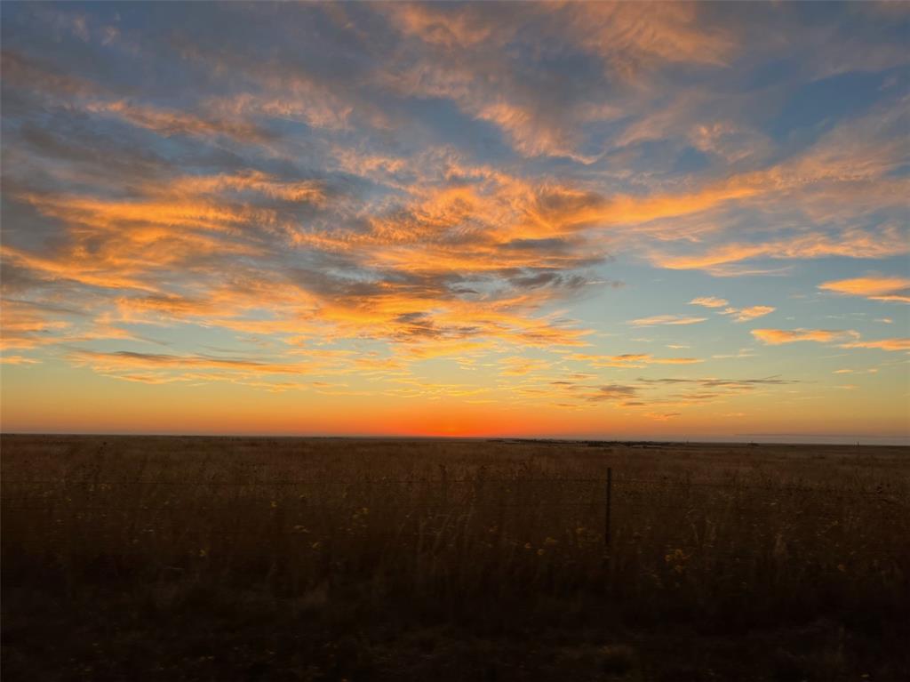 Image 48 of 48: Other