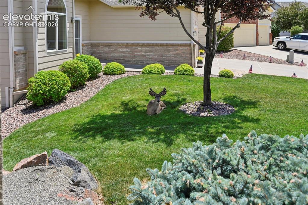 Image 48 of 50: Manicured front yard with established landscaping and mature trees