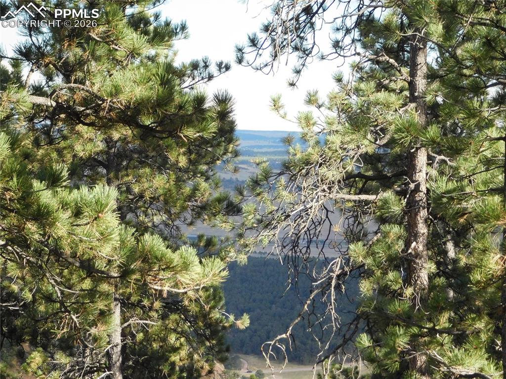 Image 12 of 45: View from lot