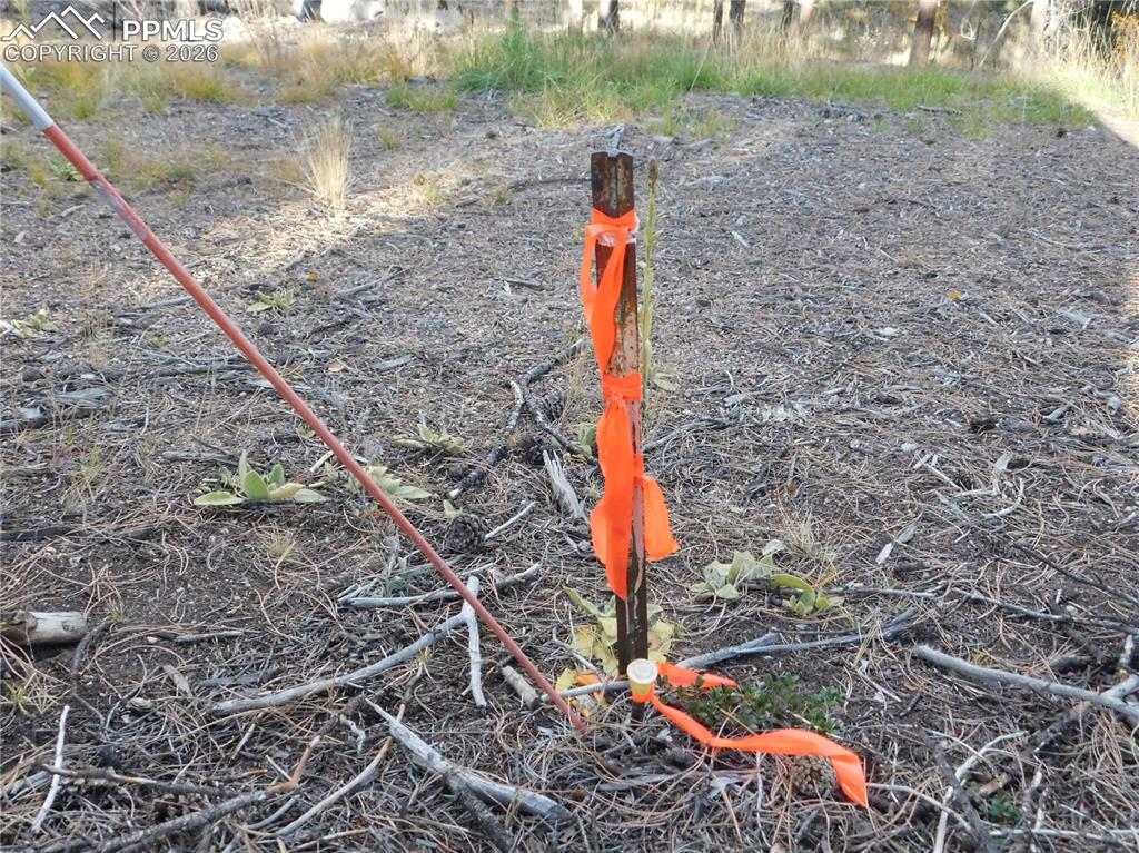 Image 13 of 45: No Description Available