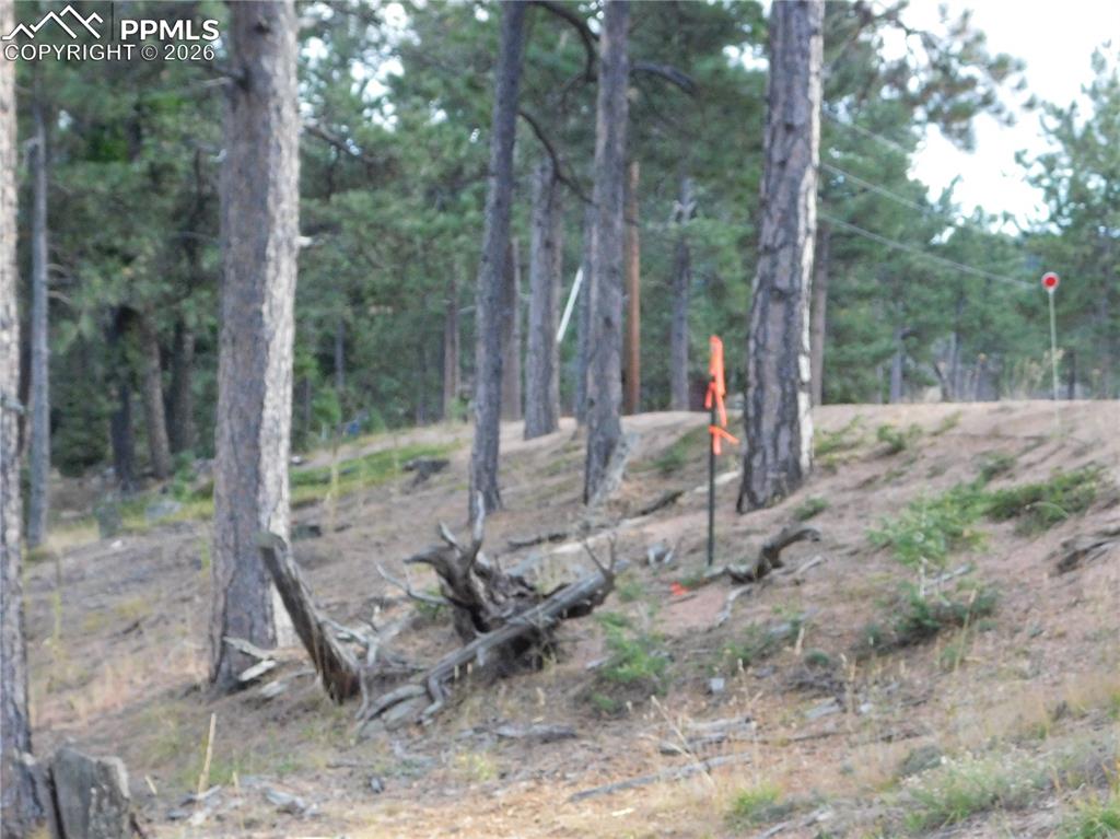 Image 14 of 45: No Description Available