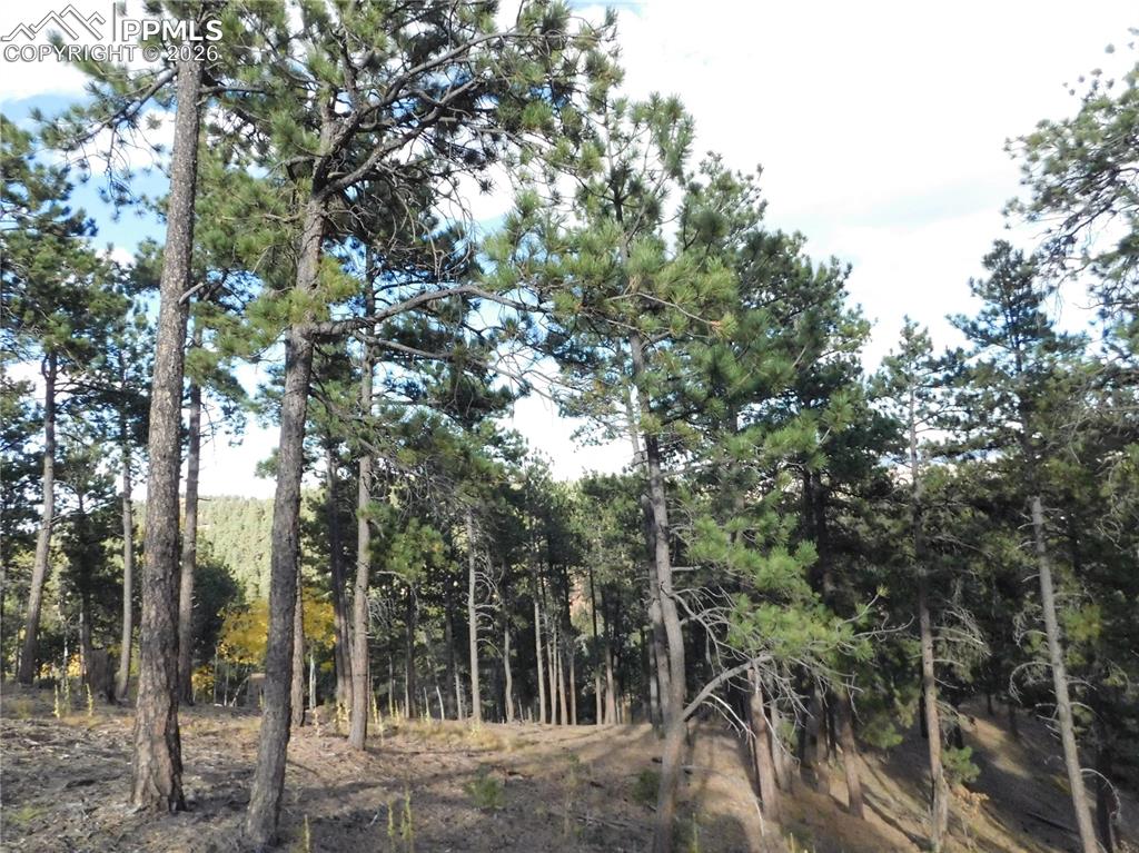 Image 17 of 45: No Description Available