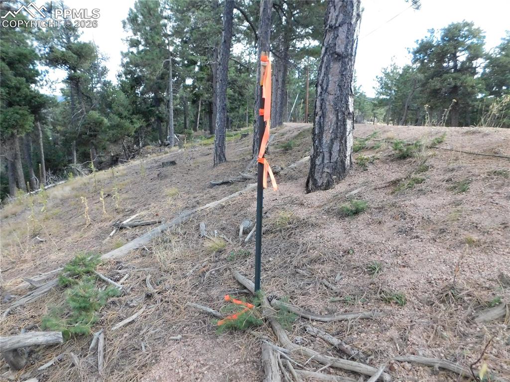 Image 18 of 45: No Description Available