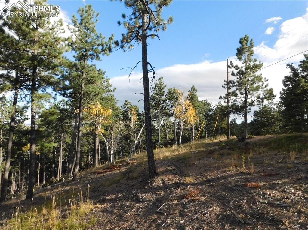 Image 2 of 45: No Description Available