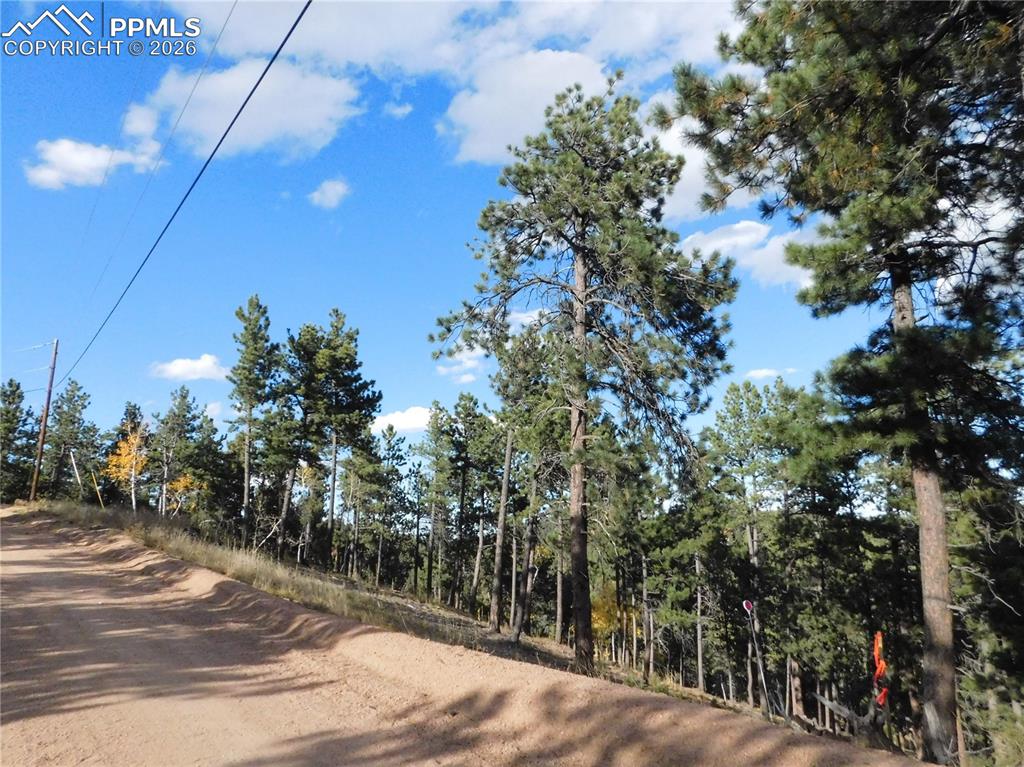 Image 20 of 45: No Description Available