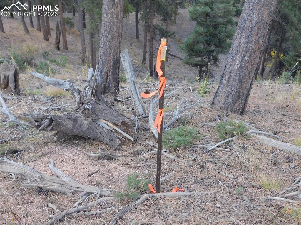 Image 23 of 45: No Description Available