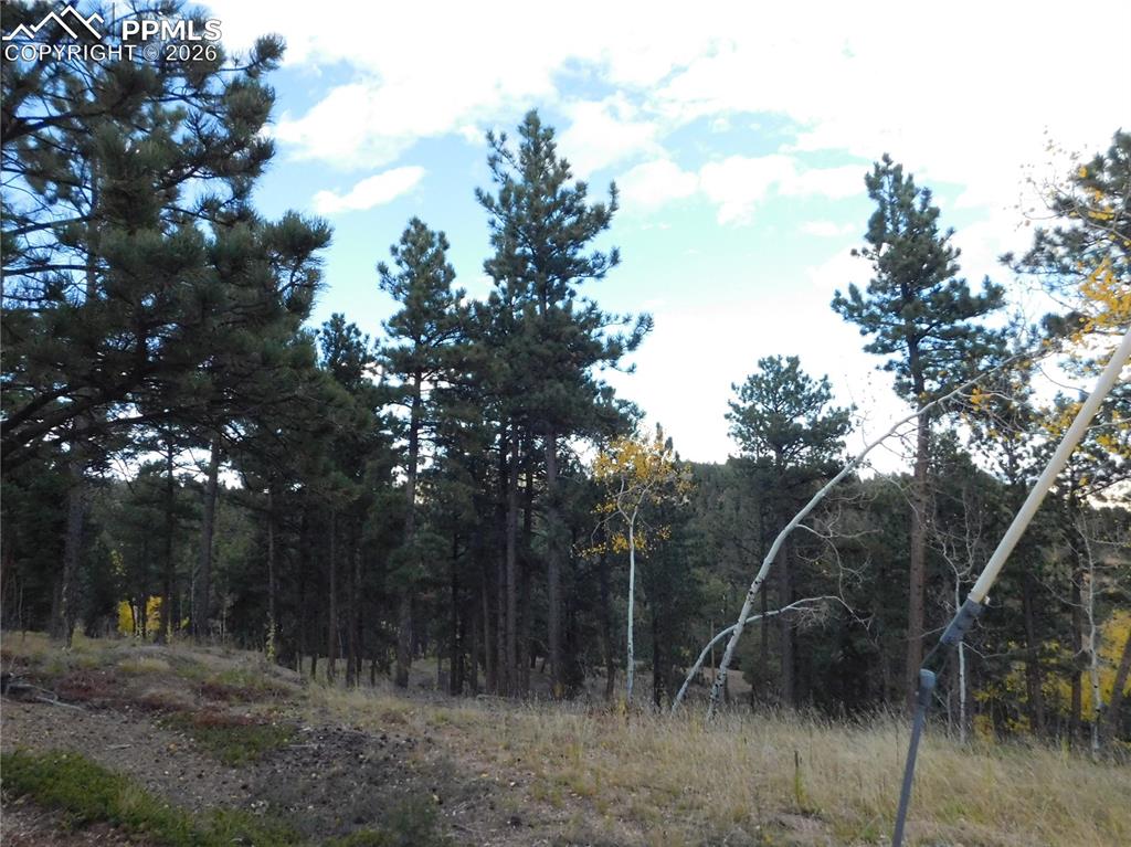 Image 30 of 45: No Description Available